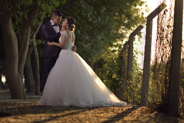 Professional Wedding Photography Capturing Your Love